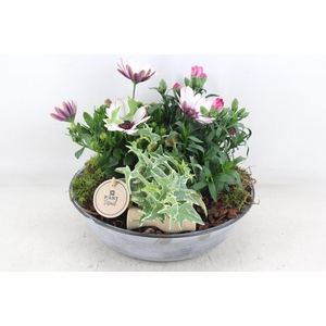 arr4 Outdoor PL - Zink antiek schaal Los V2