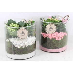 arr2 PL - Glas cilin. 15x15 - roze/wit