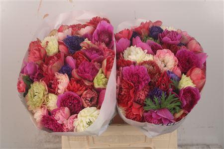 <h4>Anemone Levante Mixed In Bunch</h4>