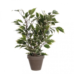 Kunstplanten Pot Ficus Natasja d11/30*40cm