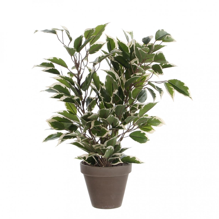 <h4>Kunstplanten Pot Ficus Natasja d11/30*40cm</h4>