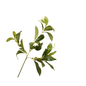 Laurel Leaf Branch Green