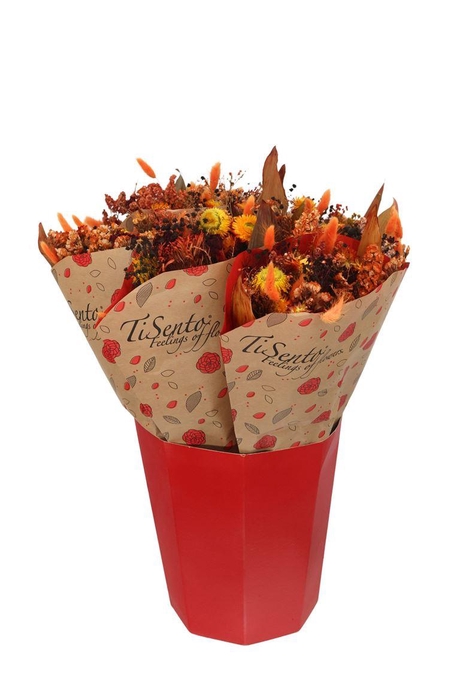 <h4>Droogbloemen bewerkt H%</h4>