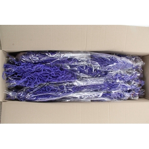 PF Amaranthus Hang Milka Bs