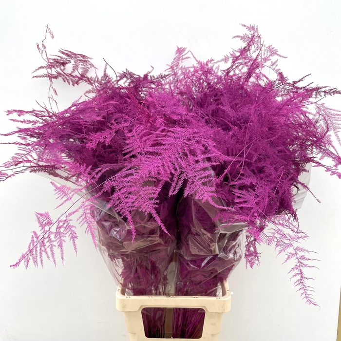 <h4>ASP OV KLB H%</h4>