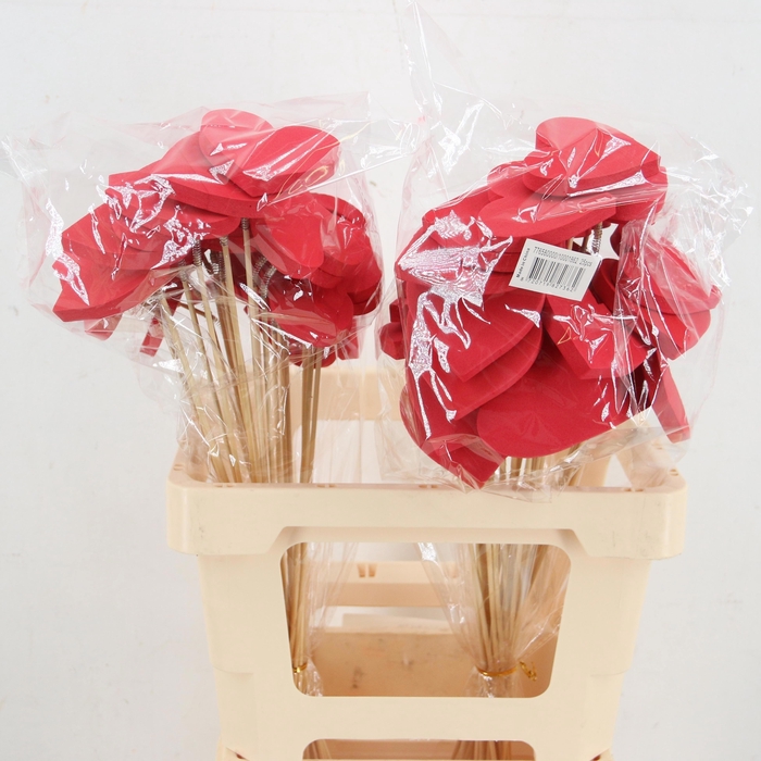 <h4>HARTJE OP STOK H%</h4>