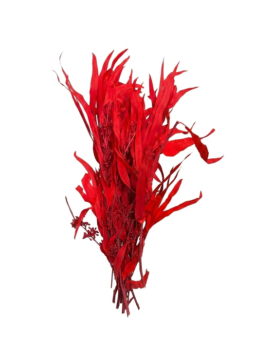 <h4>Dried Bleached Eucalyptus Exotica Dark Red</h4>