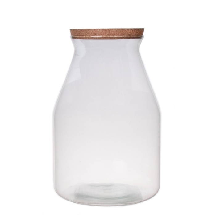 <h4>Glass Eco terrarium Cas d16/24*35cm</h4>