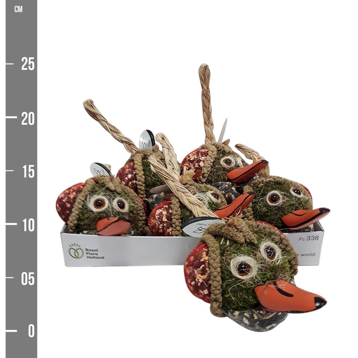 <h4>VOGELZ FIGUUR H%</h4>