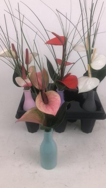 <h4>Ronde vaas 3 bloem in tray Ronde vaas 3 bloem in tray</h4>