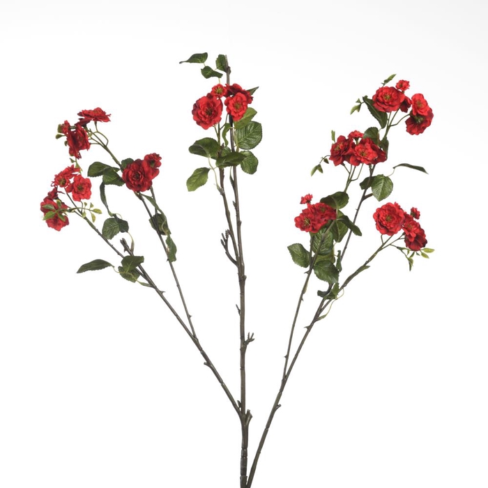 <h4>Af Rosa Wild L87cm Red</h4>