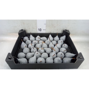 Decoratieve materialen   ...H%