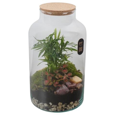 <h4>PTTER8139 Arrangement terrarium in glazen terrarium</h4>