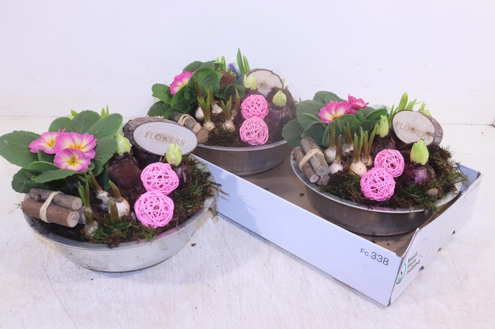 <h4>ARR TUINPLANTEN</h4>