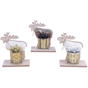 Echeveria geverfd in design glas op houten rendier