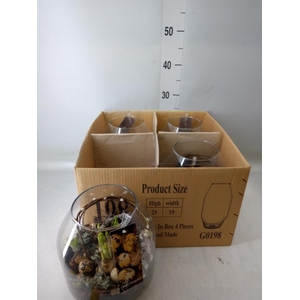 Planten ..in schaal H%