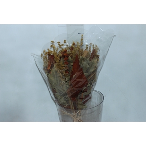BUQUE INCANTARE M MIX CELOSIA