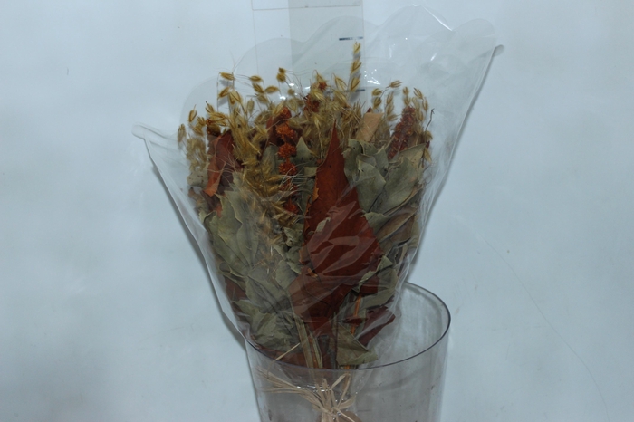 <h4>BUQUE INCANTARE M MIX CELOSIA</h4>