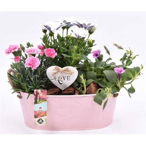Zink ovaal roze hart decor 25x15cm