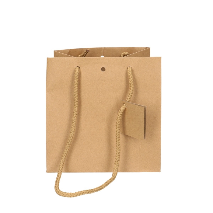 <h4>Tassen Gift bag 18*18cm</h4>