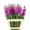Matth Iron Deep Pink