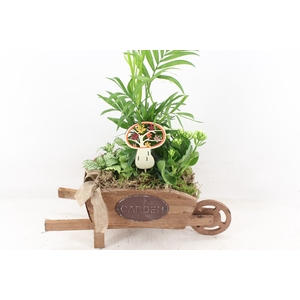 arr2 TD - Hout kruiwagen - oranje/wit