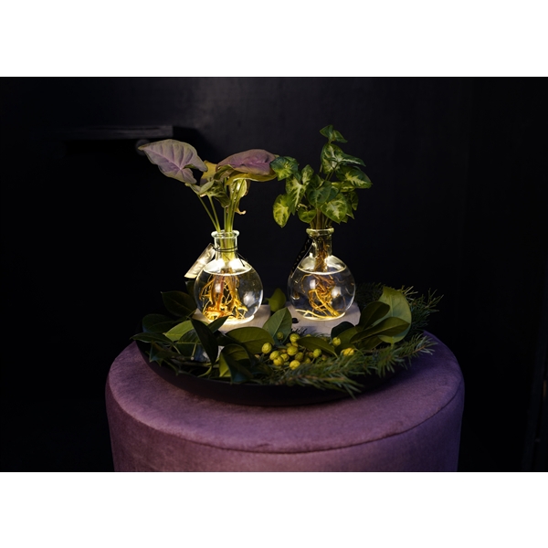 <h4>Christmas | Mix in Samoa glas + LED - levertijd: 24 uur</h4>
