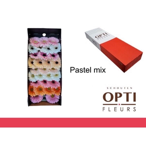 Germini Mix Pastel Doos