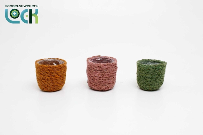 <h4>Stef Rotan Mix</h4>