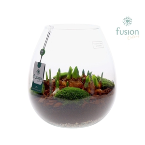 Green Bottle Abby XLarge met Bollen mix