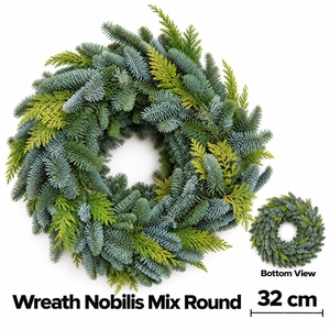 ABIES NOBILIS BLAUW