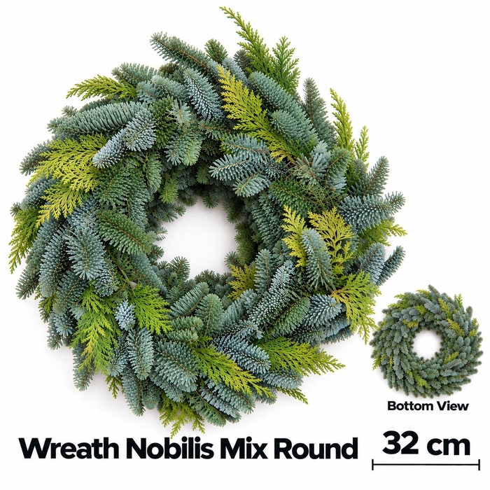<h4>ABIES NOBILIS BLAUW</h4>