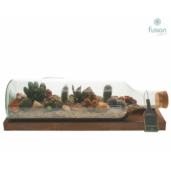 <h4>Green Bottle Fles Large liggend met Cactussen</h4>