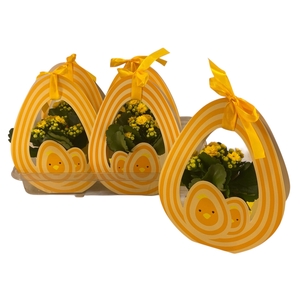 KAL GE PERFECTA YELL