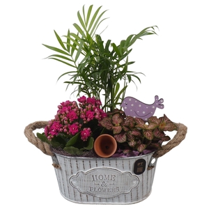 Arr.    Planten  L%