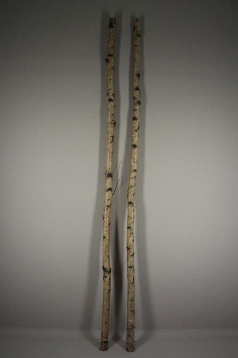 <h4>Birch Trunk 4-6cm 240cm</h4>