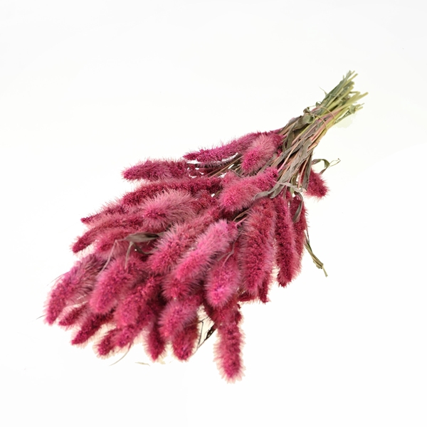 <h4>Setarea Sugar Pink</h4>