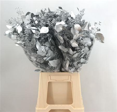 <h4>Col Pop Bes Silver</h4>