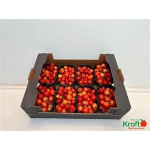 F Malus Red Sentin Bak