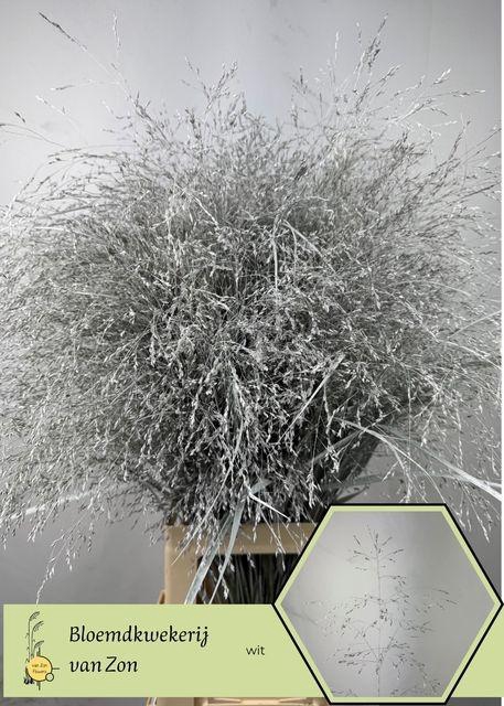 <h4>Siergr Ov Klb H%</h4>