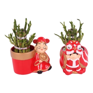 Lucky Bamboo Round 2Small in Ceramic Chongqing Ø16cm