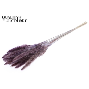 Fluffy Pampas 10pc/bunch Milka
