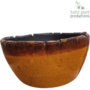 X OLIVIA ORANGE BOWL