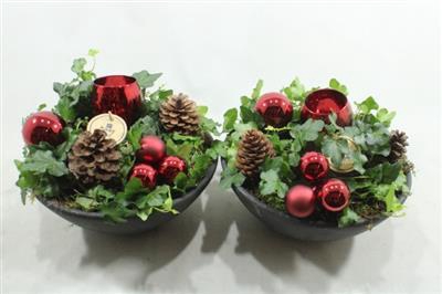 <h4>0314 ROOD EBBI HEDERA</h4>