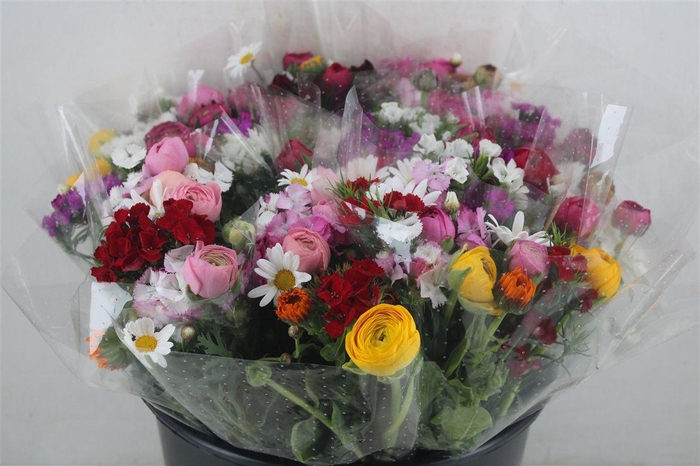 <h4>Boeket Primavera P Bunch</h4>