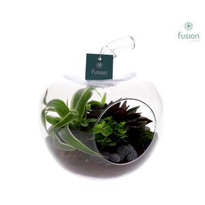 Glas Appel met Arrangement