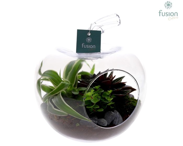 <h4>Glas Appel met Arrangement</h4>