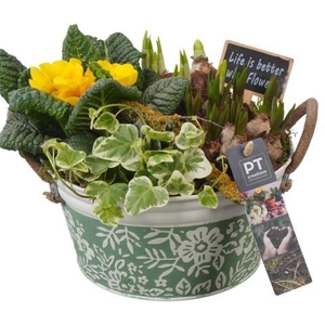 PTBM3756 Arrangement Flower Bulbs Mix in metalen pot
