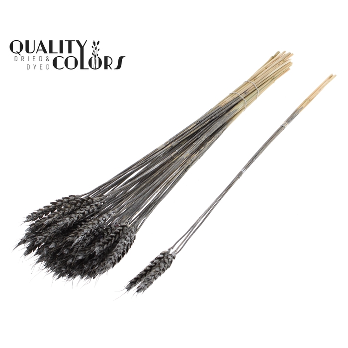 <h4>Triticum 3pc/Tuft Metallic Graphite</h4>
