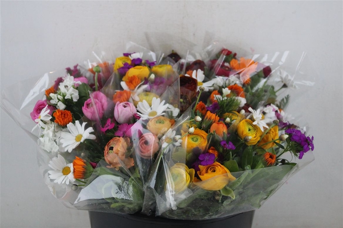 <h4>Boeket Primavera P Bunch</h4>